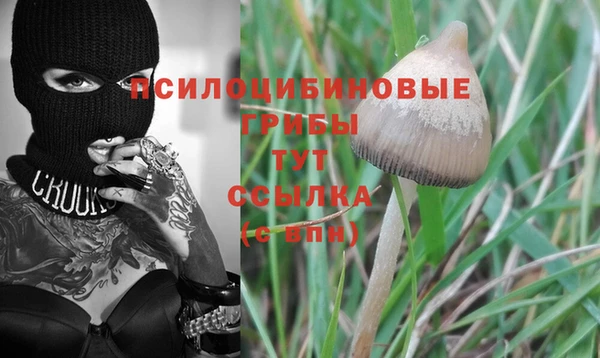 мяу мяу мука Горняк